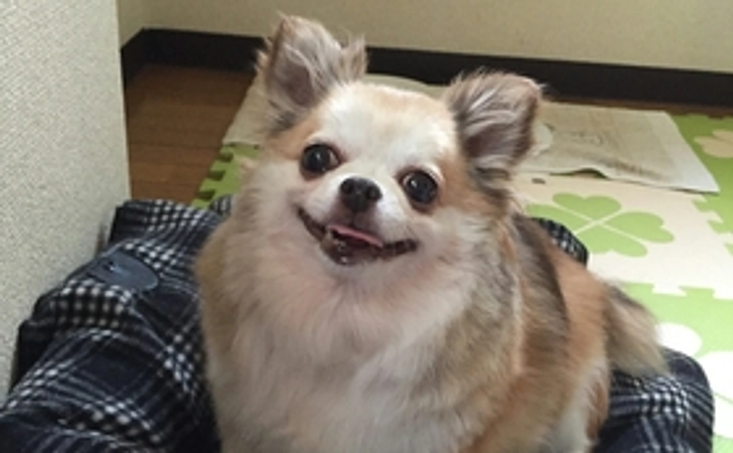 3000円 応援コース