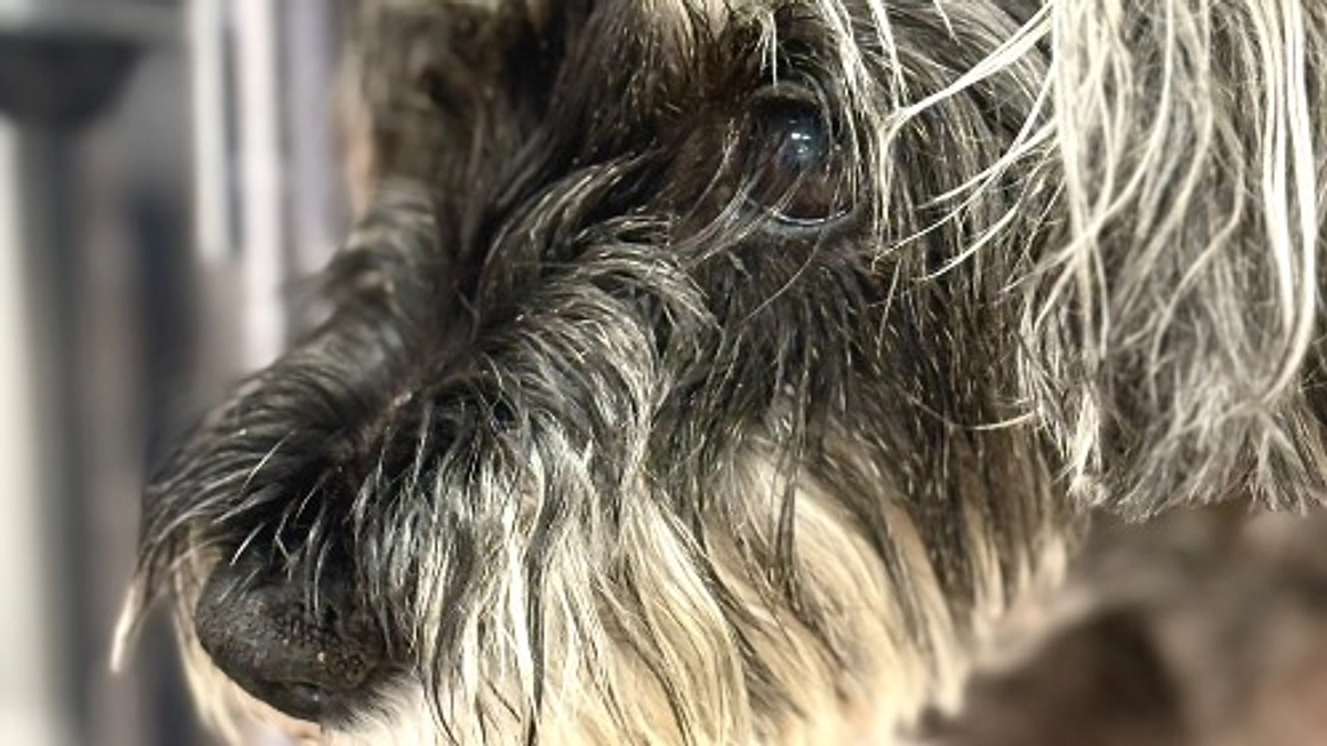 入院が延長になりました。