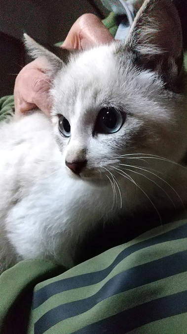 食べること遊ぶこと！