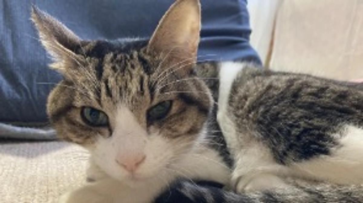 1/8 🏥土日で通院してきました🏥