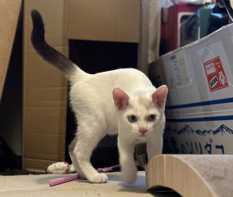 台風の影響が出ませんように。