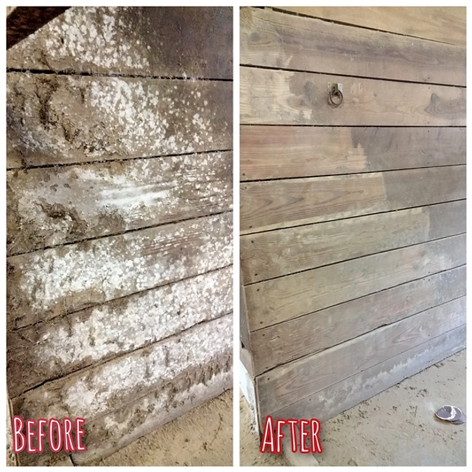 【移転先のこと⑤】3/3～3/5移転直前の日々について