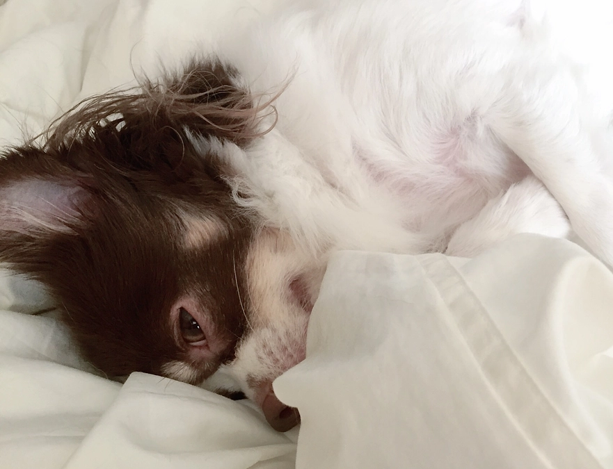 2023.12.22 代理支援反映のご報告☑️