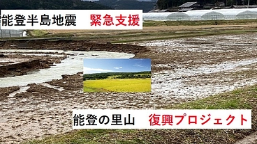 能登半島地震　能登里山の農業　復興プロジェクト のトップ画像