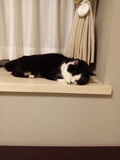 遅くなりましたが、診療費のご報告