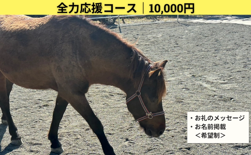 全力応援コース｜10,000円