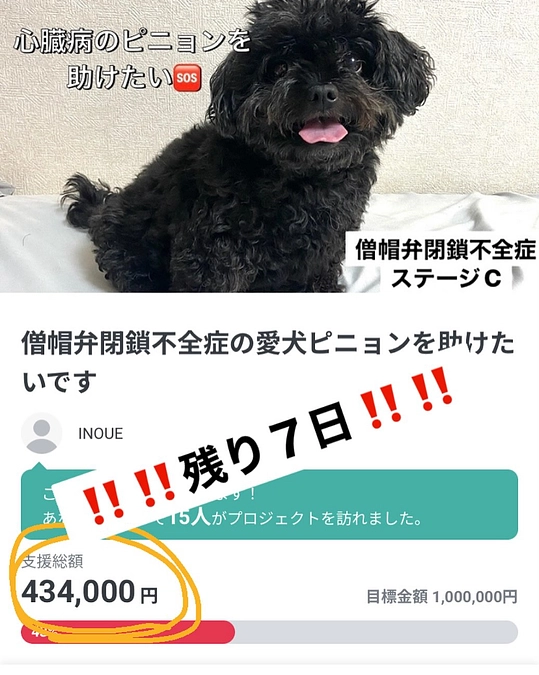 クラファン終了まで残り７日🆘‼️‼️
