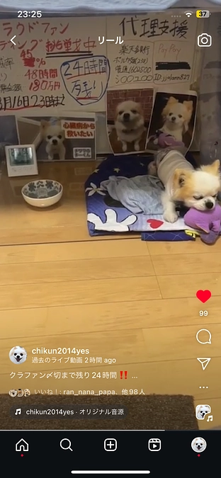 残り24時間質問コーナーライブ！