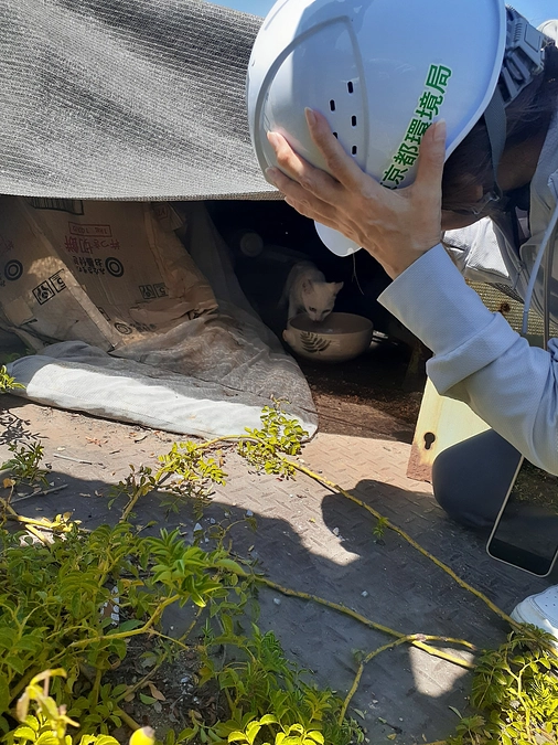 【あと30時間｜ネクストゴール達成まで107万円】都が公式サイトに掲載。あなたの声が届いた！