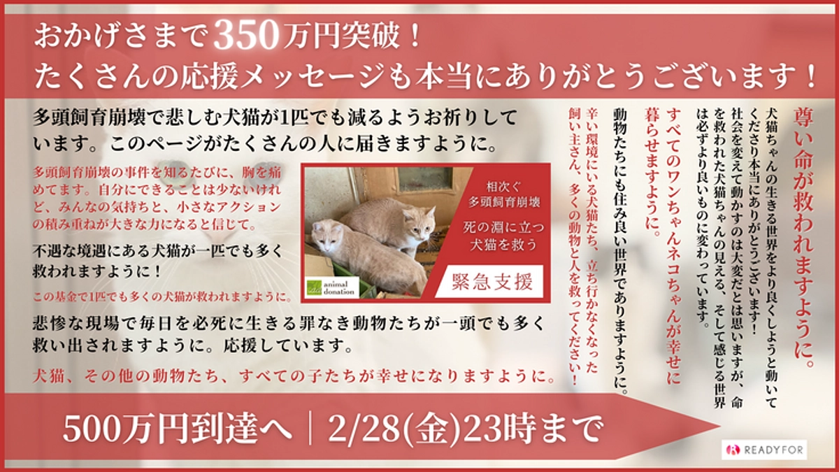 【350万円突破！】終了まで残り16日　〜応援コメントのご紹介をいたします〜