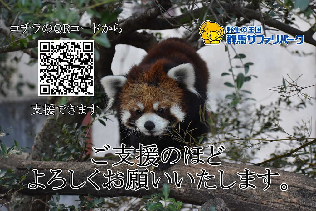 新年あけましておめでとうございます。