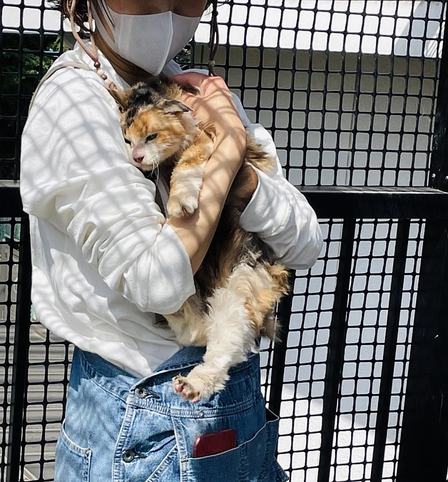 猫ハウススタッフの声②安東さん