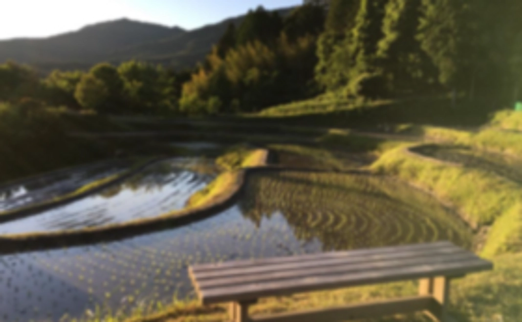 １）熱い想いを全力応援コース