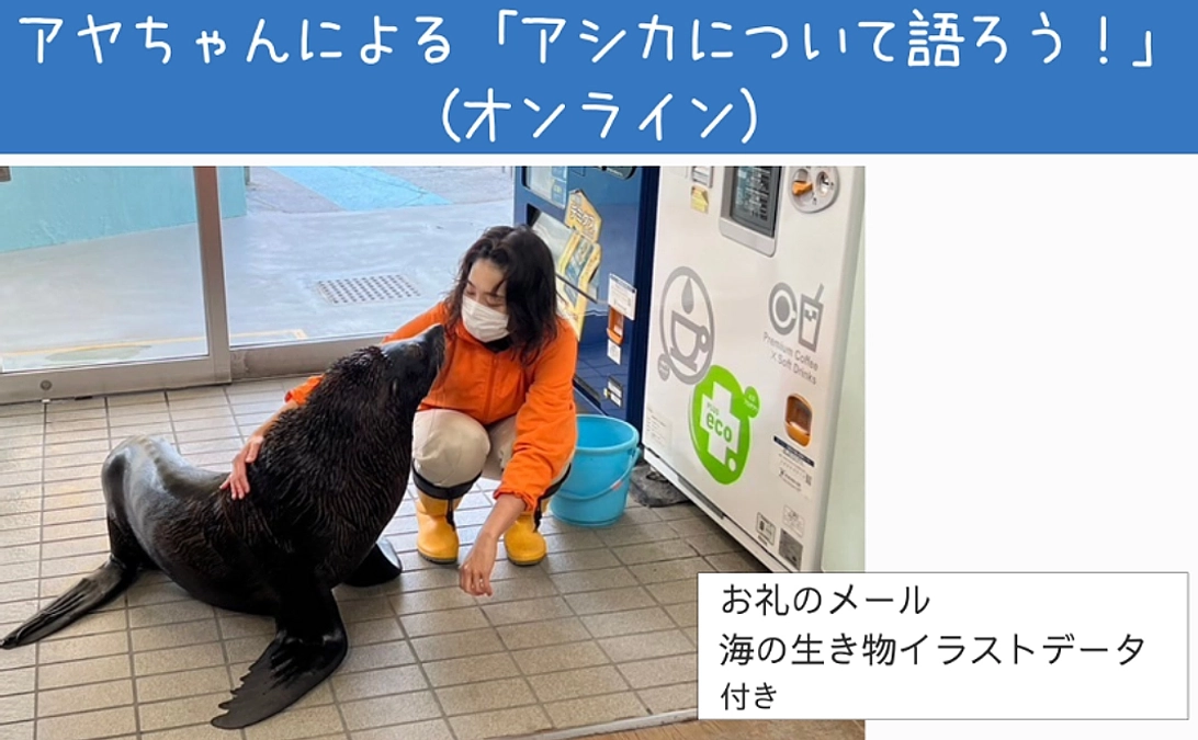 「アシカについて語ろう！」の紹介