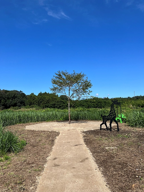 新たな挑戦が始まりました!！