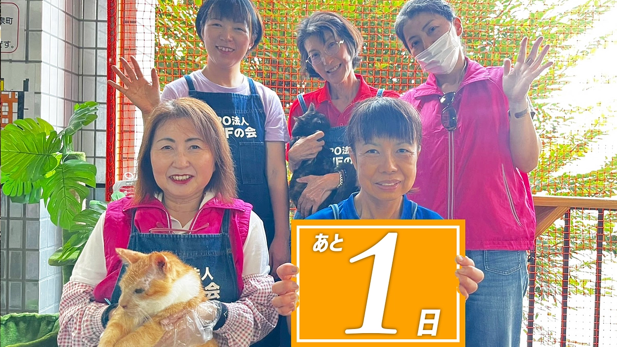 残り1日！最後の最後まで、命を守るために