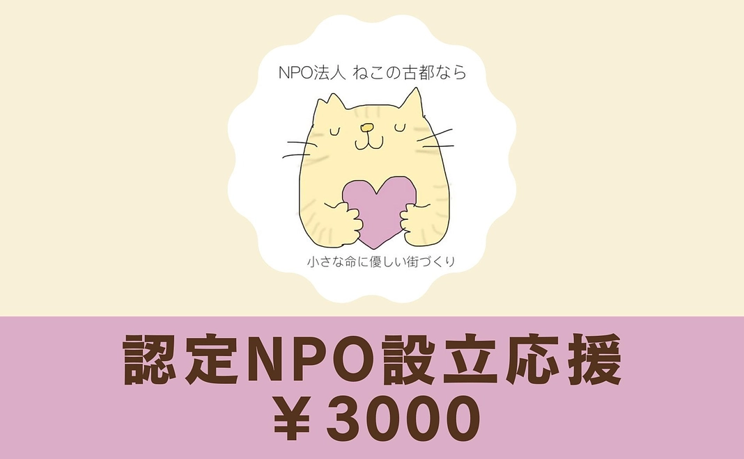 認定NPO設立応援プラン