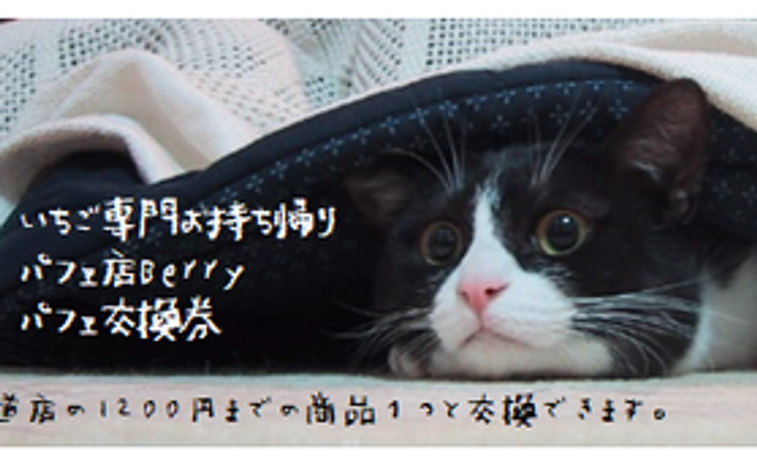 パフェ交換券３枚・お礼状・ロゴシール３枚・御支援台帳記載