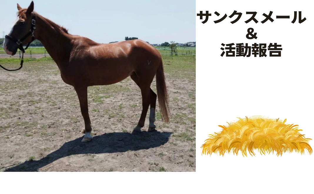 サンクスメール＆活動報告