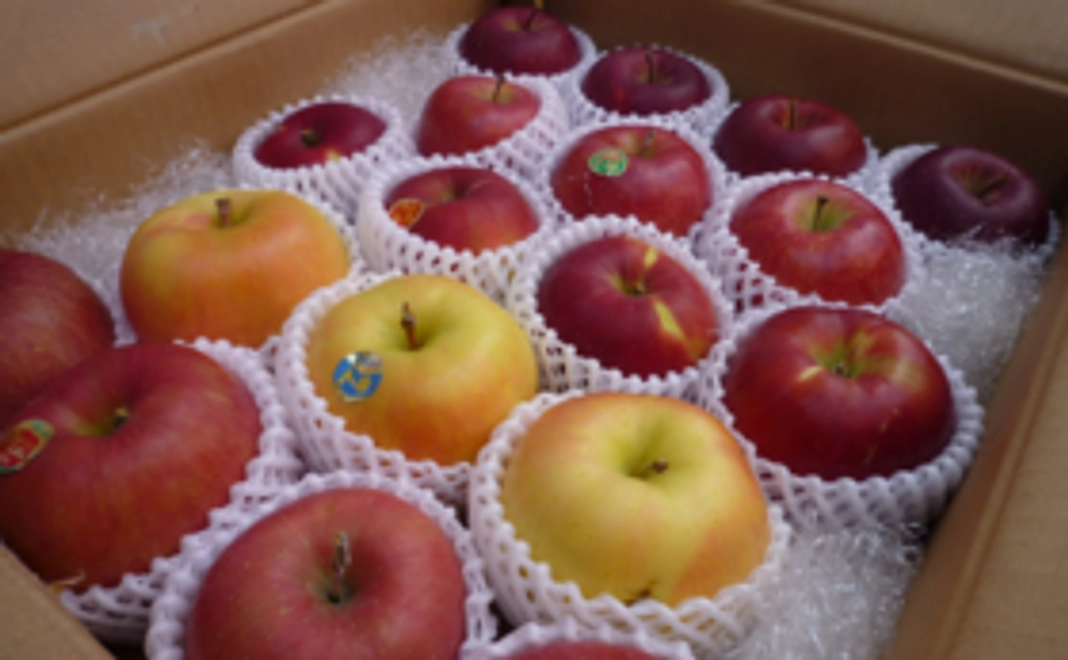 【青森県産】　季節のりんご約5kgをお届け！