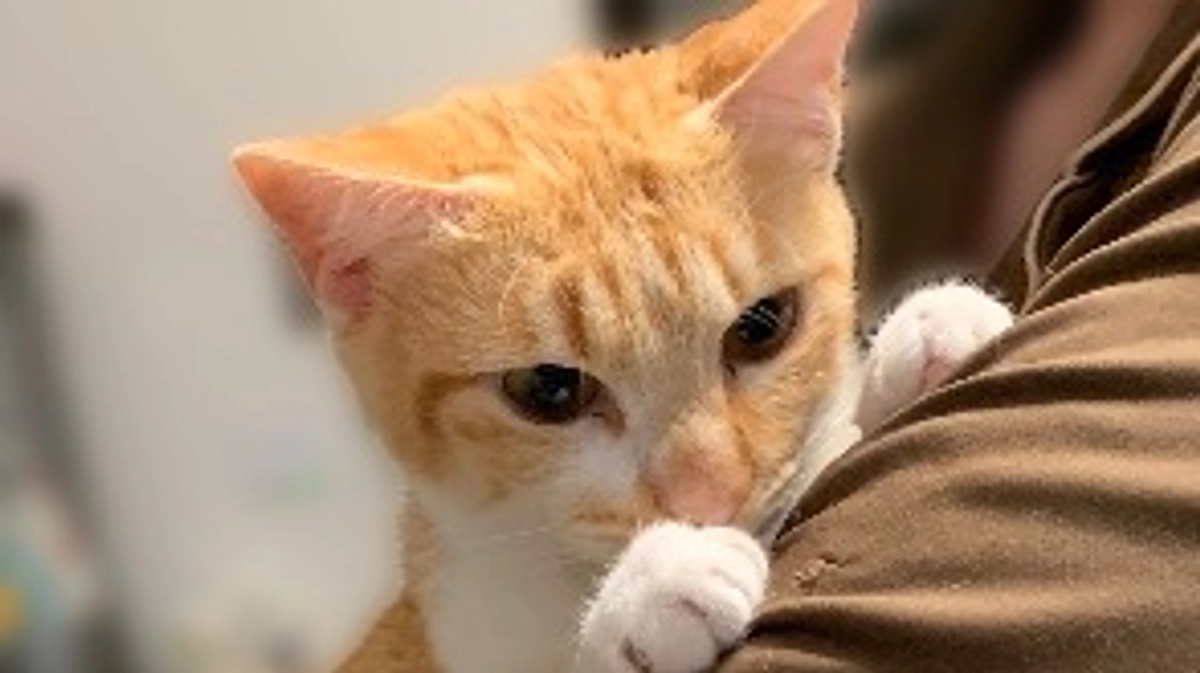 投薬45日目（プロジェクト開始5日目）