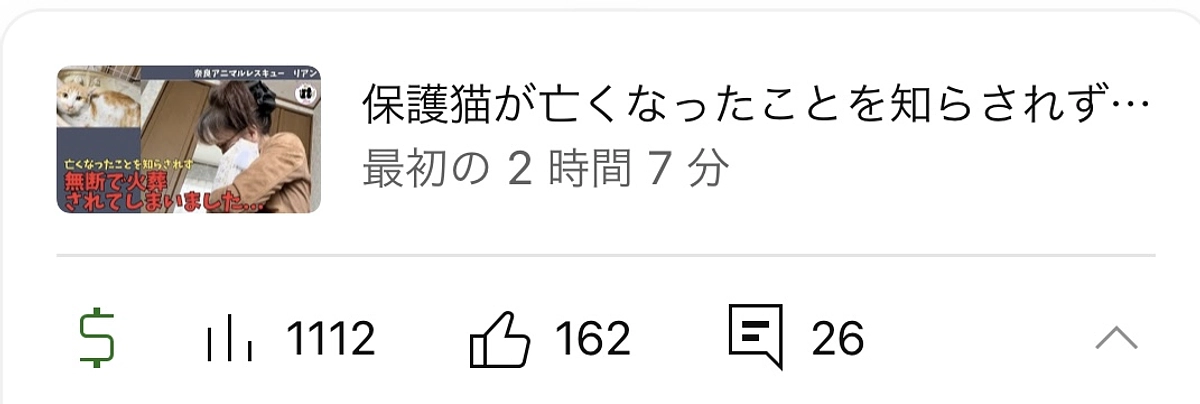 今日の白ちゃん