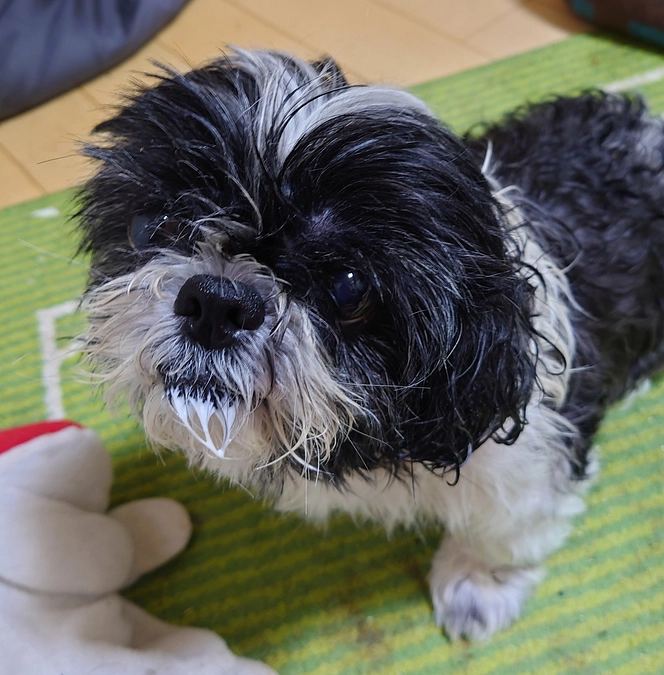 残り20日となりました。