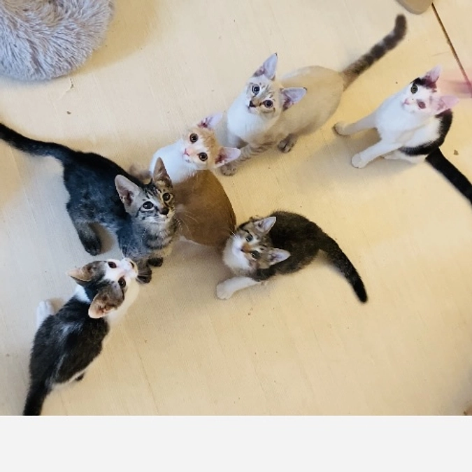 今日も朝から大騒ぎ💦クラファンあと2日です！