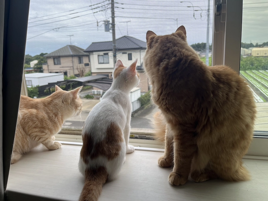 残り４８時間となりました