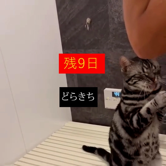 あと9日です　28名の応援が必要です！！