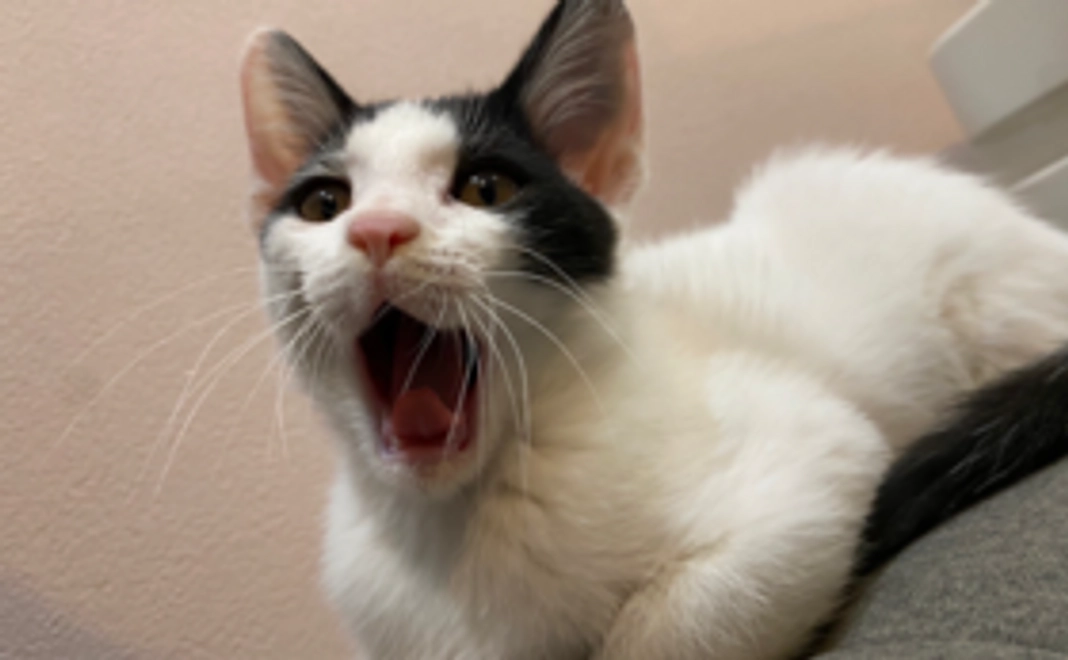 【全力応援】3000円コース