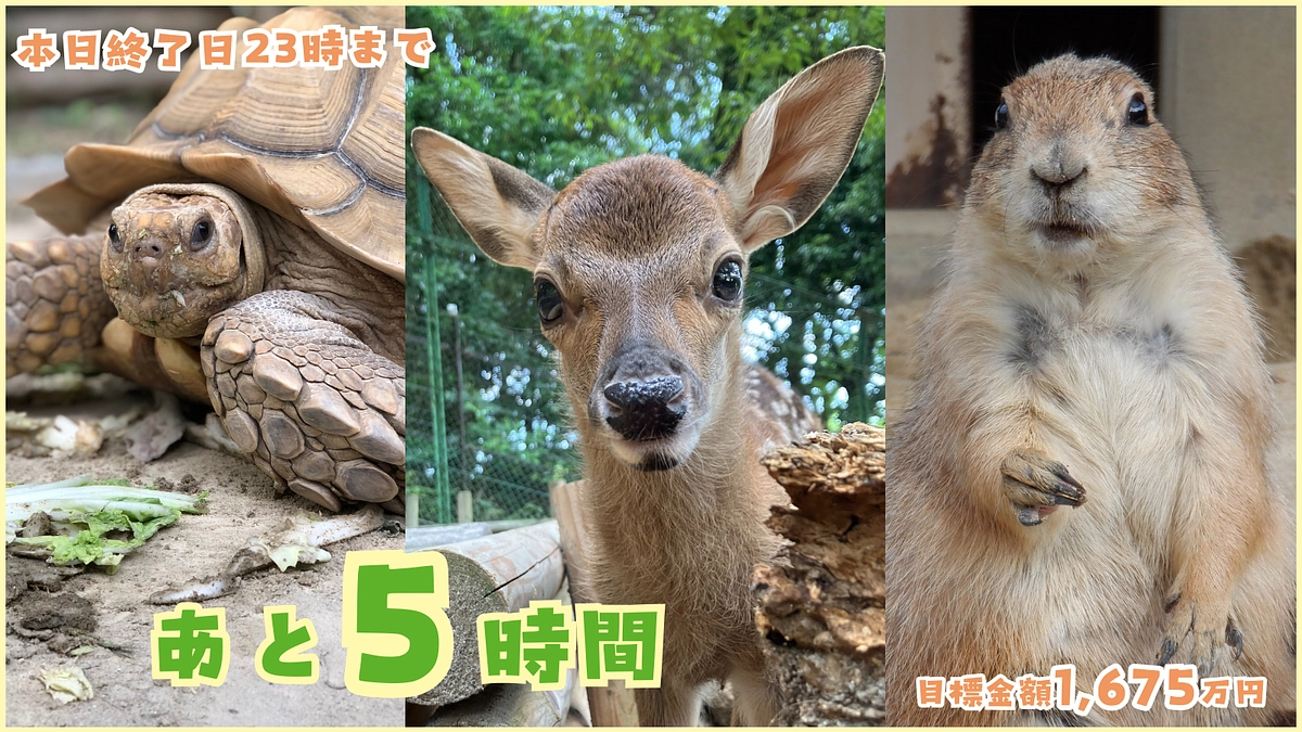 【終了まであと5時間！】残り僅かな数量限定のリターンを一挙ご紹介！