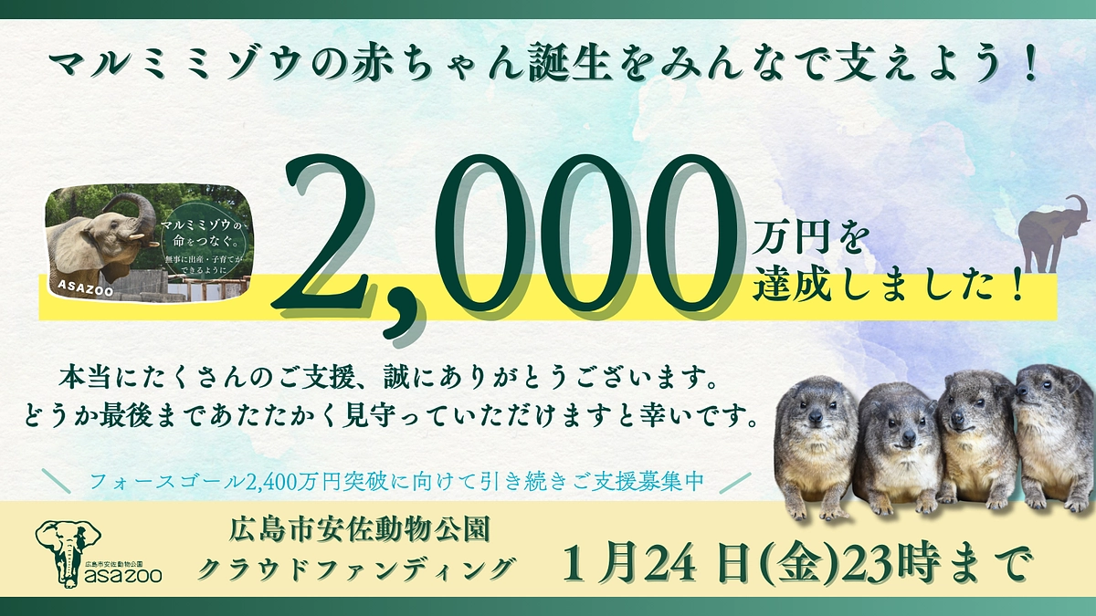 【ついに2000万円突破！】応援コメントに励まされております！〜温かいコメントの一部をご紹介〜