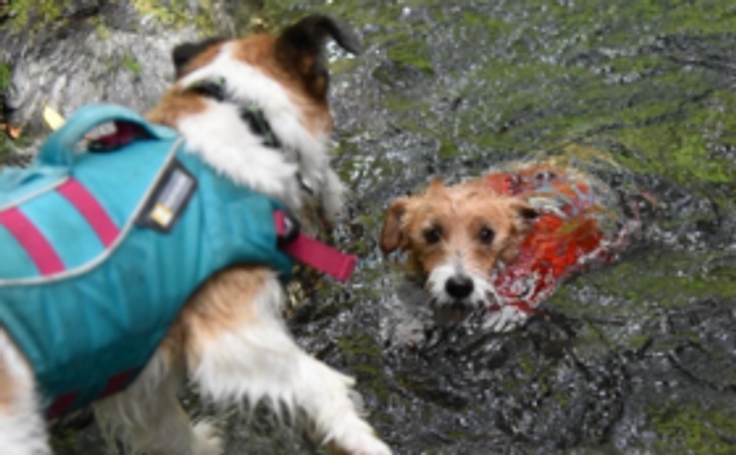 プレミアムコース|毎月5000円