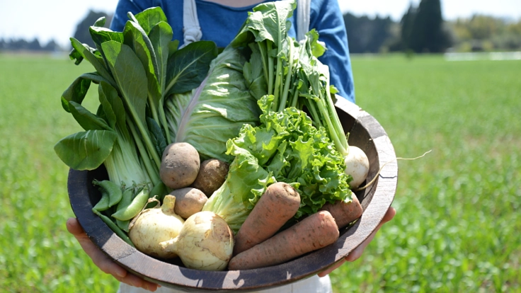 安心安全な自然栽培の食材を、大切な人へ贈ってW応援しよう！