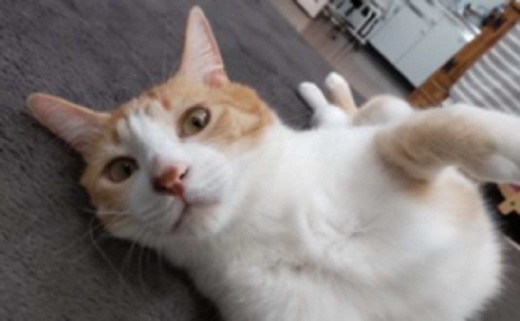 毎月応援5,000円コース