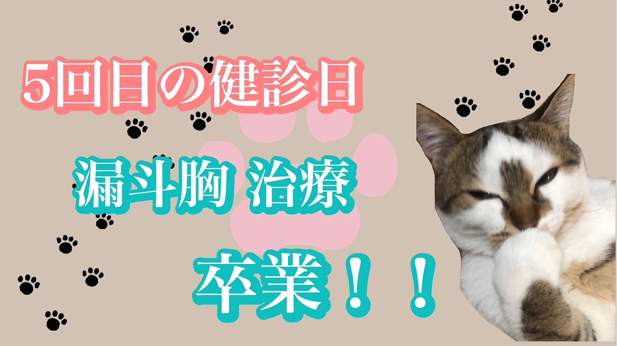 ㊗️ こちゃ漏斗胸 治療 卒業！！！🎉