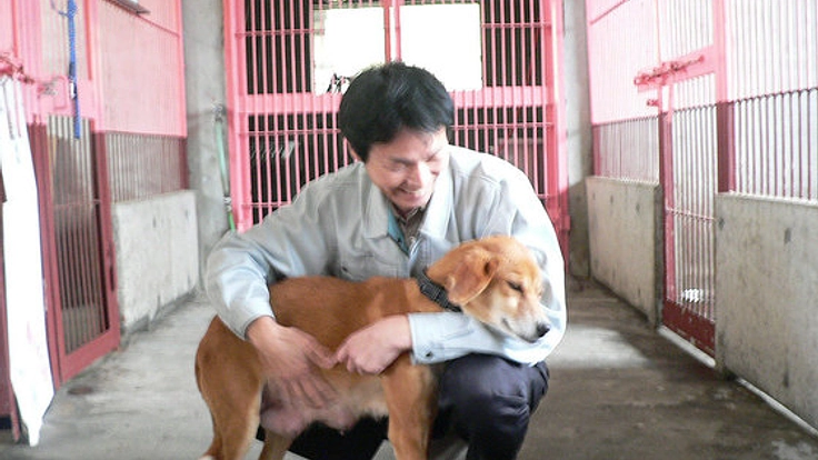 宮崎で保護される犬猫3800匹の命をつなぐ愛護センター設立を！