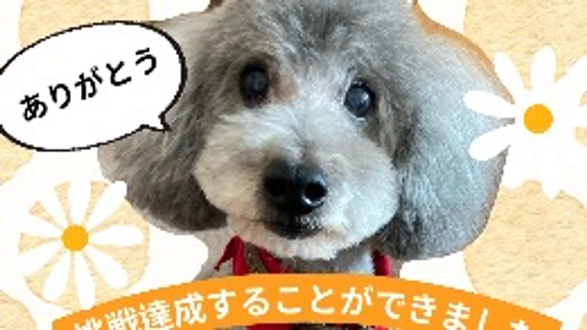 ありがとうございました