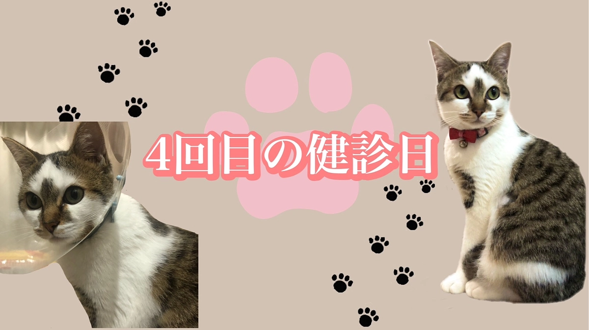 4回目の検診日🏥