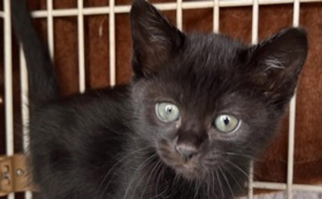 感謝のメールと活動報告