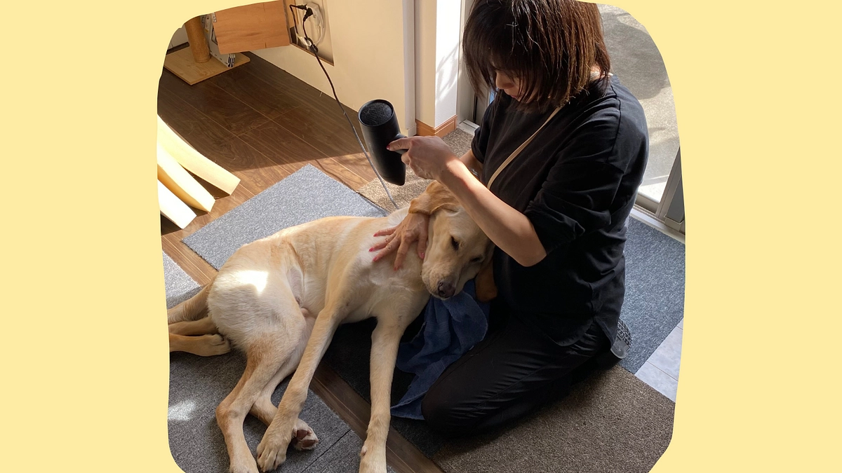 育成レポート３「施設ボランティアについて」