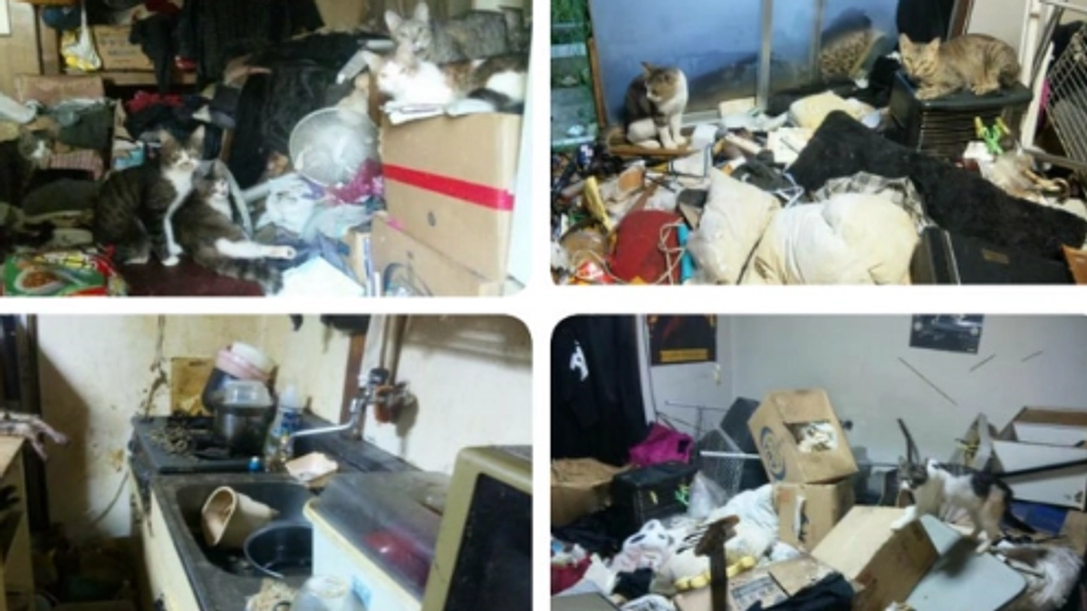 【残り4日！】多頭飼育現場を「崩壊」させずに問題解決に導くために！