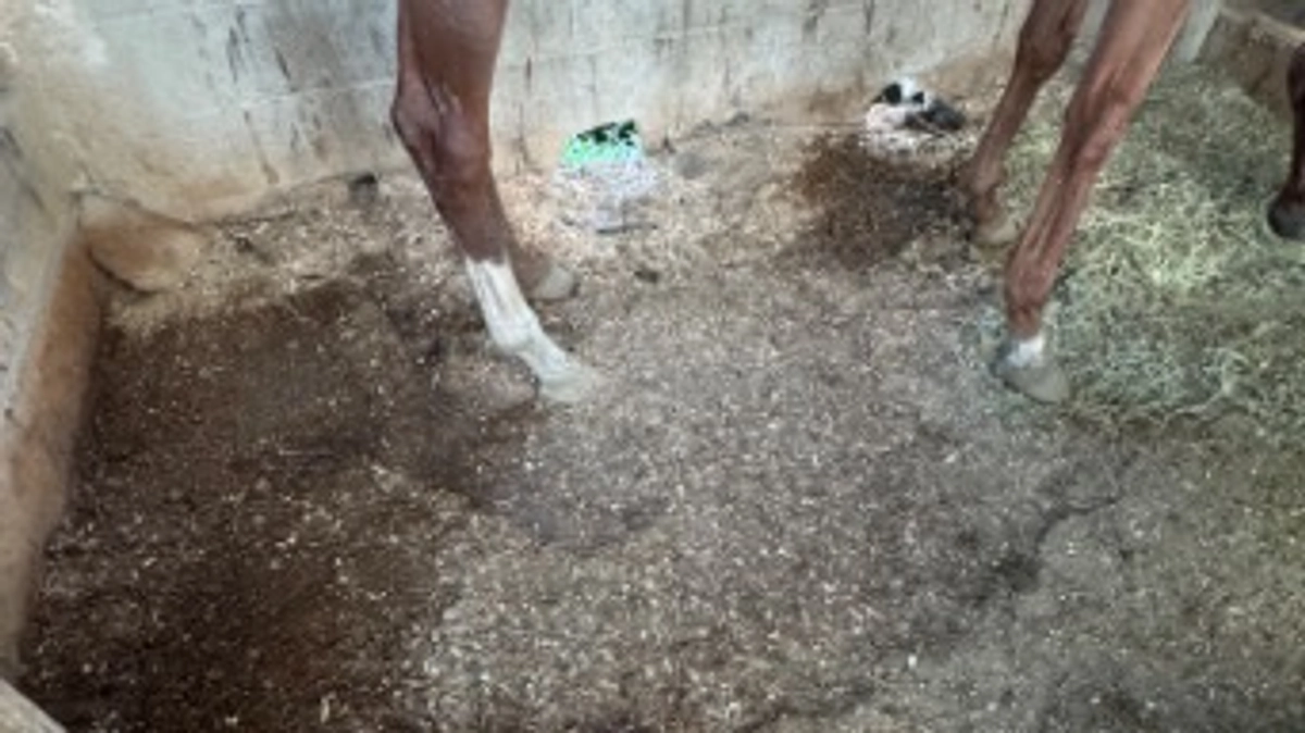 ゴムマットの摩耗が日に日に…