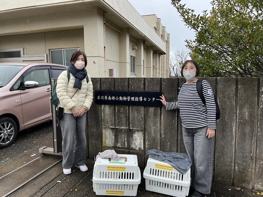 環境省からの緊急要請で能登半島地震　被災動物救援を開始。