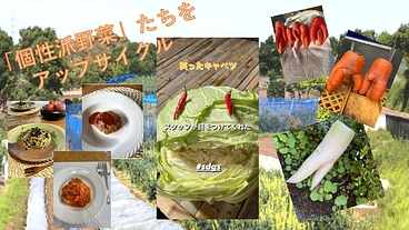 「みんなシアワセ」を目指す！食品ロス削減と農福連携の地域貢献 のトップ画像