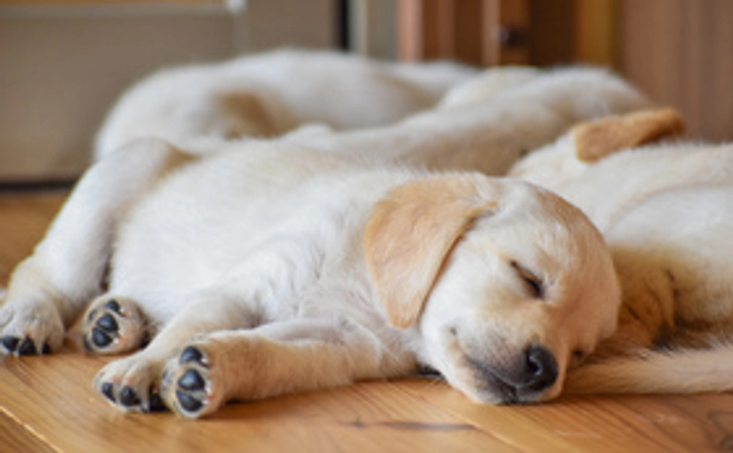 【リターン不要の方】5000円応援コース