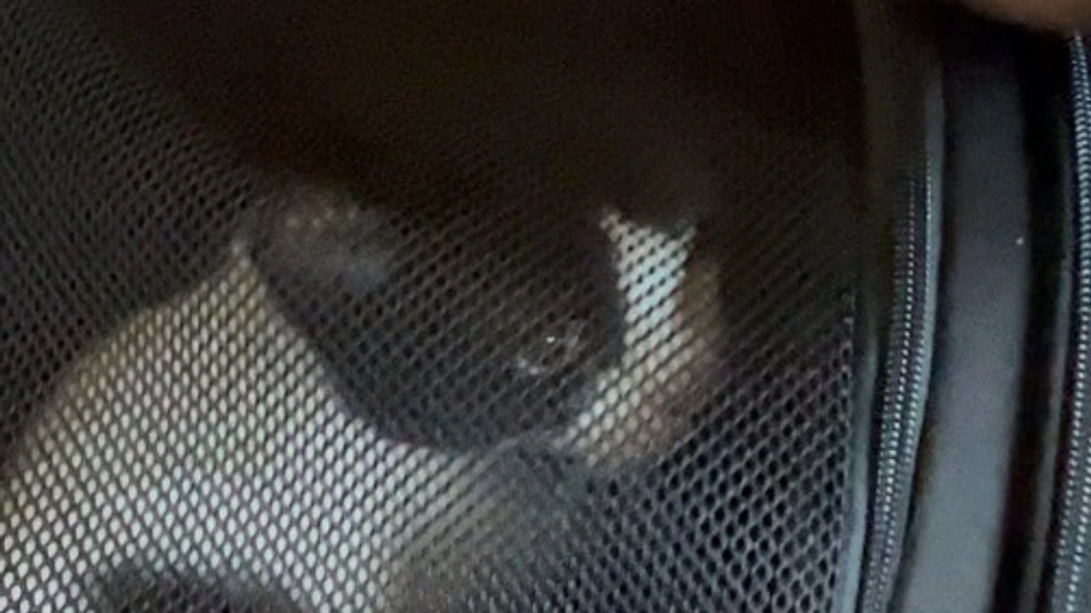 点滴が10日分に変更に！！