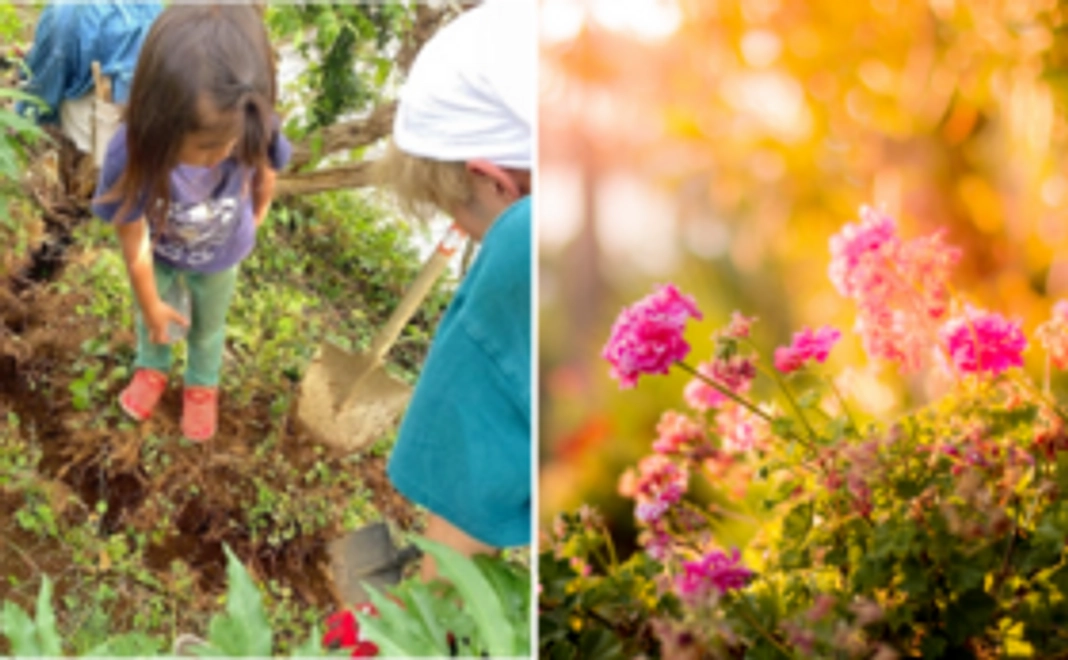 B｜【現地にお越しいただける方むけ】大地の再生講座＋お花