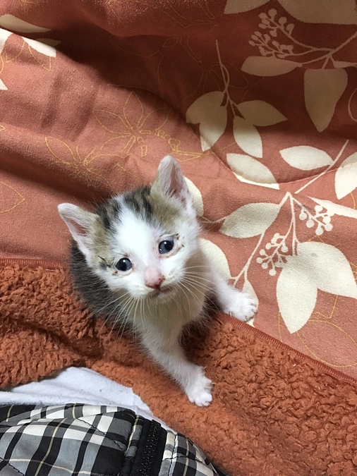 終了しました‼︎